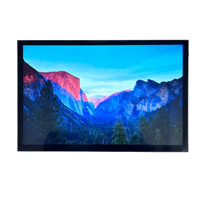 kaufen 10.1 Zoll 850cd/M2 Medizinischer TFT-Display-Bildschirm USB 5V für Fahrzeuge online manufacture