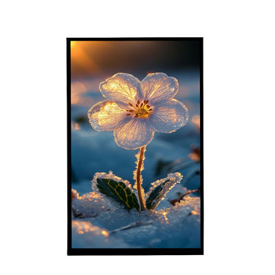 kaufen 10.1 Zoll Porträtbildschirm IPS Anzeige 800x1280 Auflösung Tft LCD-Display für Auto online manufacture