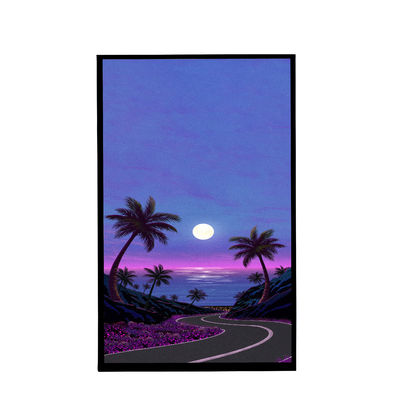 kaufen 10.1 Zoll TFT-LCD-Display Alle Blickwinkel Übertragbare Verbindung 40PIN Speichertemperatur -30°C -70°C online manufacture