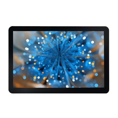 16.7M Farbe 272cd/M2 10,1 Zoll TFT LCD-Display mit CTP 1920*RGB*1200