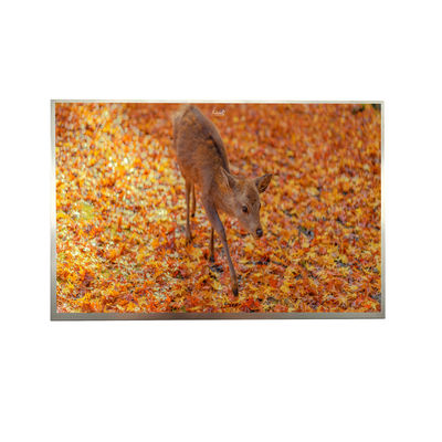 8' IPS FHD LVDS TFT-Display 1000cd Leuchtstärke 1920*1200 Auflösung