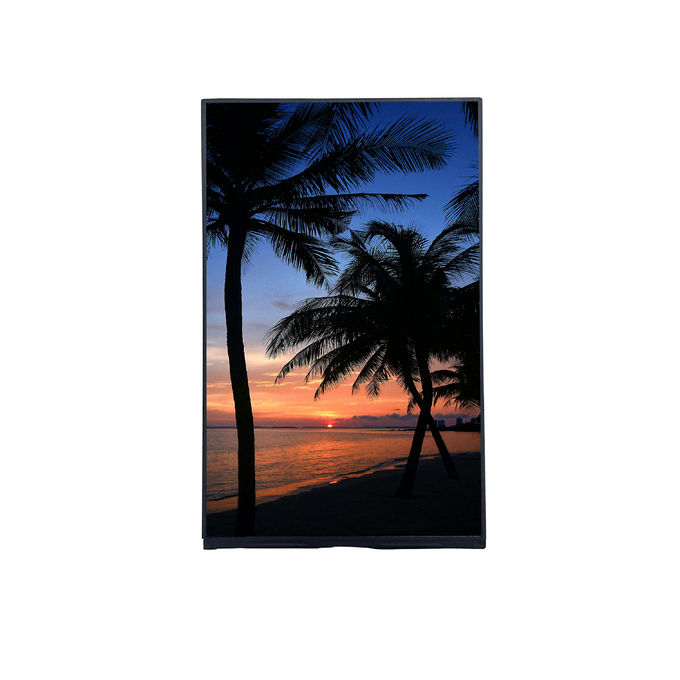 Porträt 10,1 Zoll FHD TFT LCD Modul T-Con Board mit IPS Blickwinkel und Auflösung 1200*RGB*1920 1